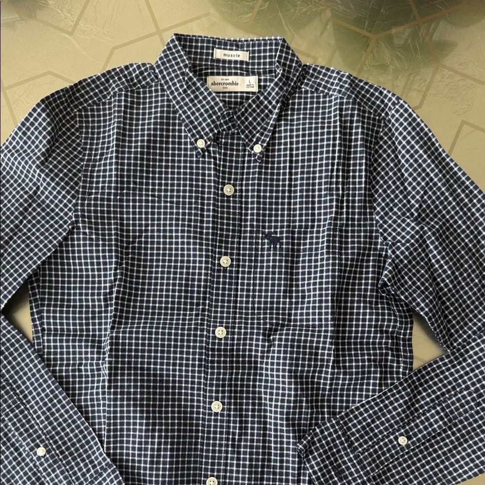 Abercrombie & Fitch Navy and White Check Button-Down Shirt - Men's